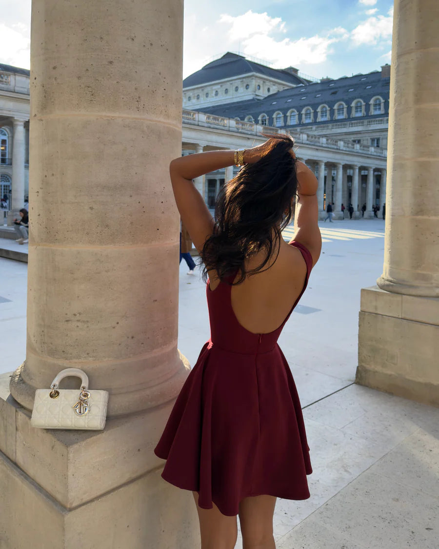 Coraline Mini Fit and Flare Dress