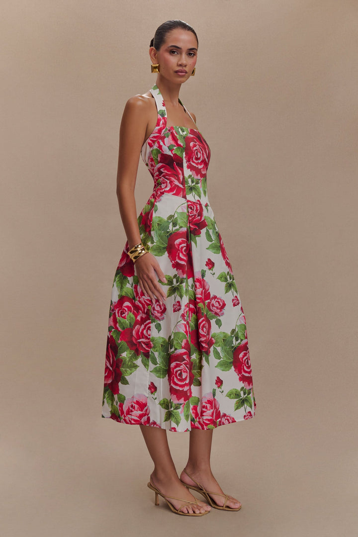 Aulivia Halter Midi Dress in Rose Print
