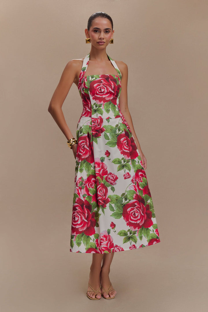 Aulivia Halter Midi Dress in Rose Print