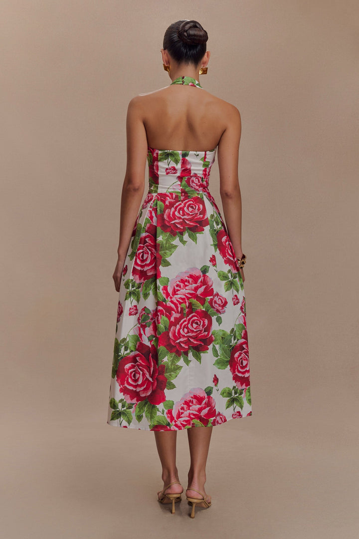 Aulivia Halter Midi Dress in Rose Print