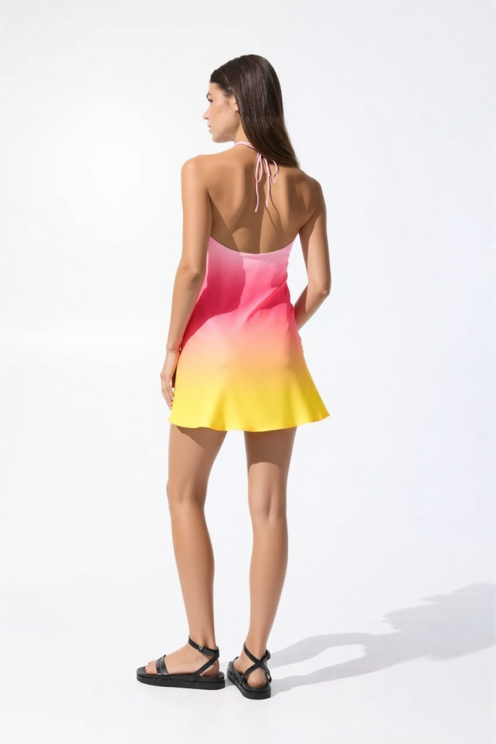 Rosalin Mini Dress in Pink Multi Hues