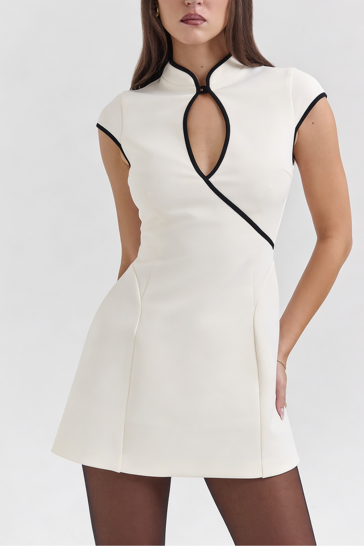 Ivy Contrast Mini Dress